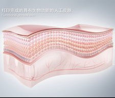 ٤ųΪȫһ3DӡӡƤҵ