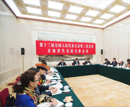 人大青海省代表团举行全体会议