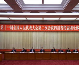 人大四川省代表团举行全体会议