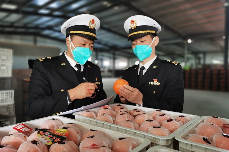 长沙海关助力湖南水果首次出口老挝