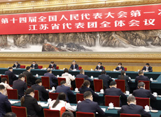习近平参加江苏代表团审议