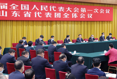 韩正参加山东代表团审议