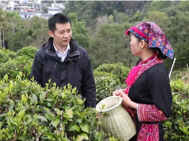 林豪：厚植生态优势 小山乡迎巨变