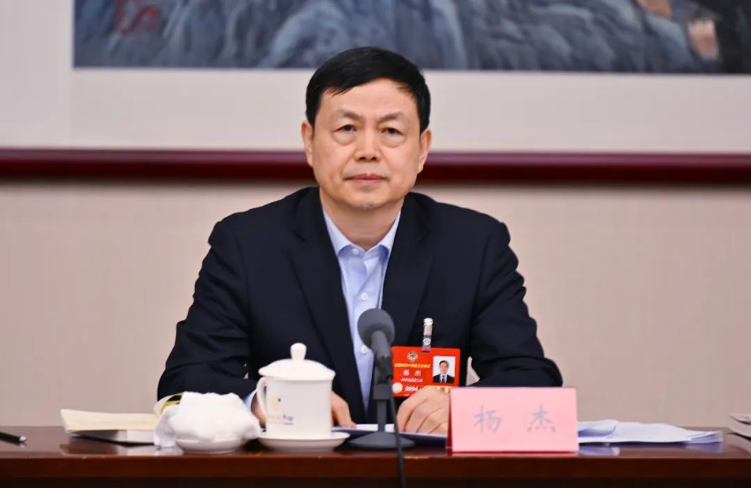 【聚焦政府工作报告】全国政协常委杨杰：培育壮大信息消费“新三样” 激发经济增长新动能
