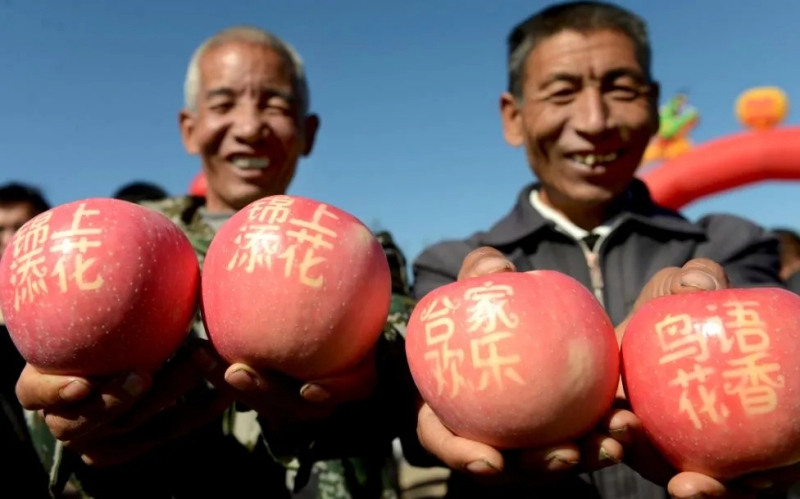 农业专家谭正平：陕西“硬核12条”打造延安“金苹果”590560