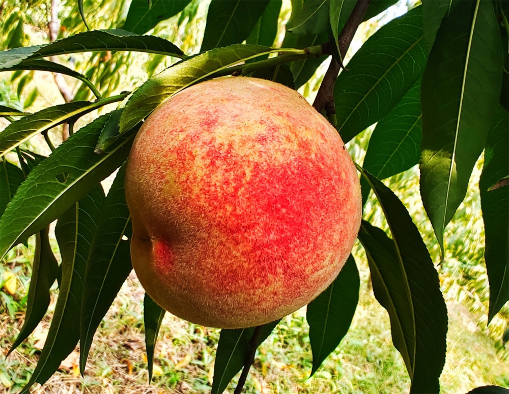 ۰ǣȻҡȾ